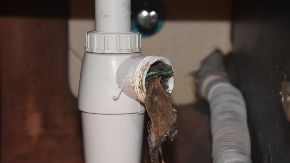 trap under a sink overflowing with a thick, dirty sludge clog