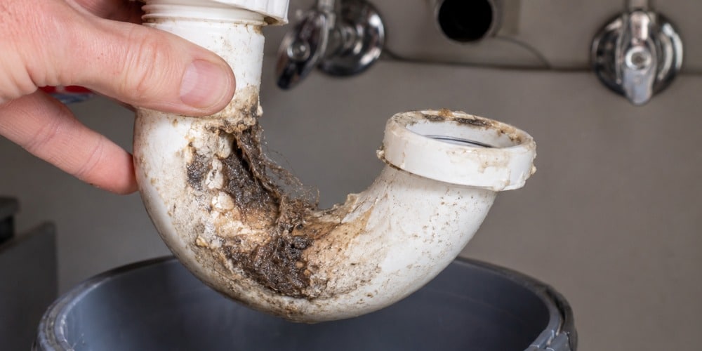 white PVC P-trap pipe removed from under a bathroom sink