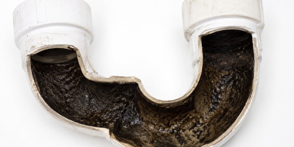 cut-open PVC drain pipe segment