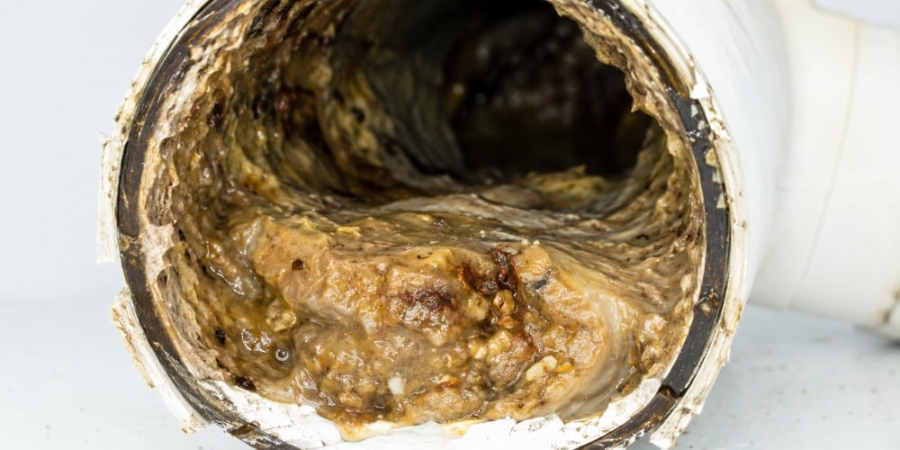 cut-open kitchen drain pipe